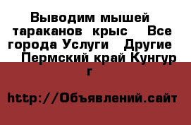 Выводим мышей ,тараканов, крыс. - Все города Услуги » Другие   . Пермский край,Кунгур г.